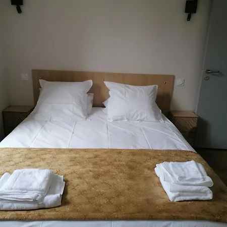 Historique Renove A 2 Niveaux Avec Parking Et Jardin - Fr-1-489-571
